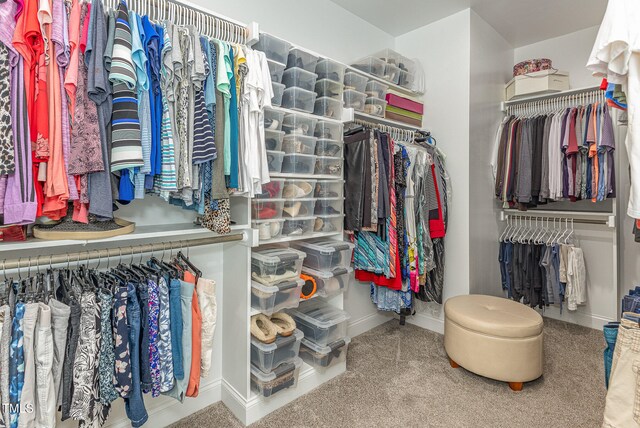 walk in closet featuring carpet floors