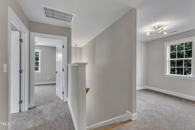 corridor with a healthy amount of sunlight, a chandelier, and light colored carpet