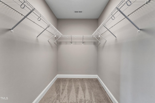 spacious closet featuring carpet