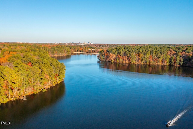 property view of water