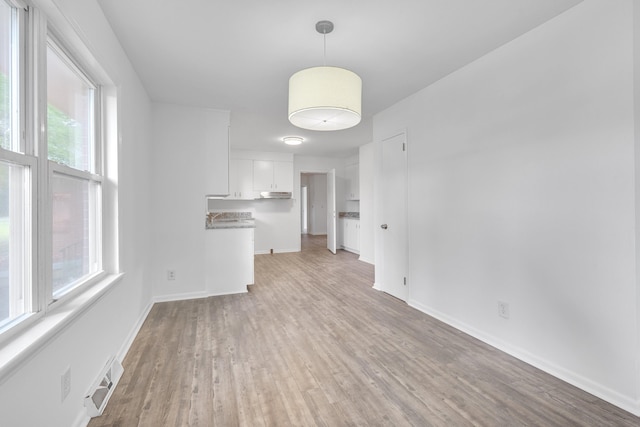 unfurnished living room featuring a healthy amount of sunlight and light hardwood / wood-style flooring