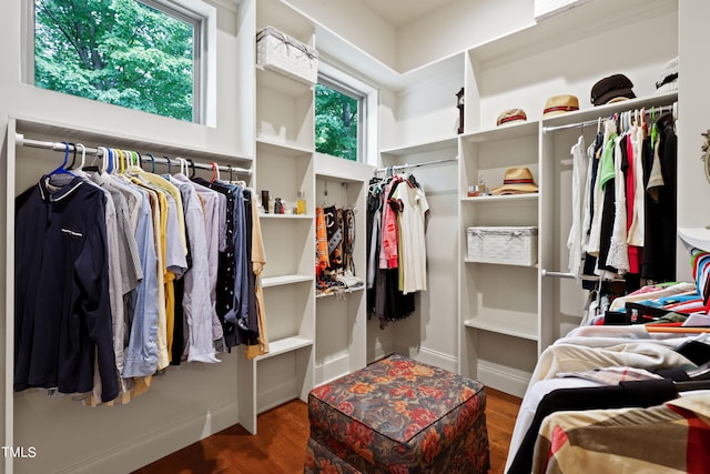 walk in closet featuring hardwood / wood-style floors