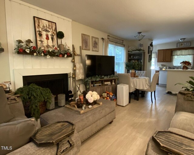 living room with a fireplace and light wood finished floors