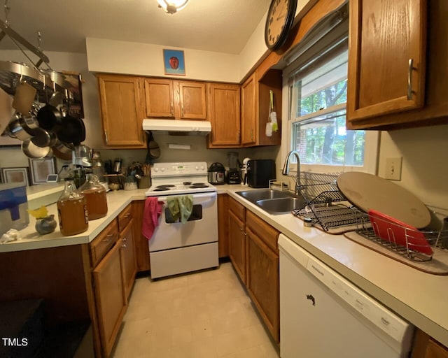 kitchen with brown cabinetry, a sink, light countertops, under cabinet range hood, and white appliances