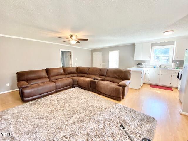 living room featuring ceiling fan, a textured ceiling, light wood-type flooring, and crown molding