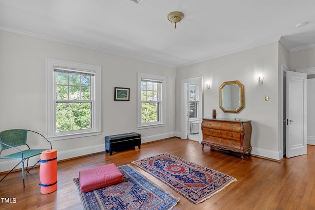 sitting room featuring ornamental molding and wood-type flooring