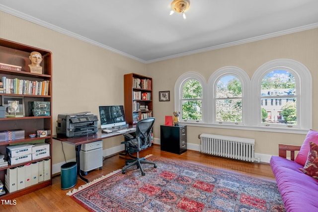 home office featuring light hardwood / wood-style flooring, crown molding, and radiator heating unit