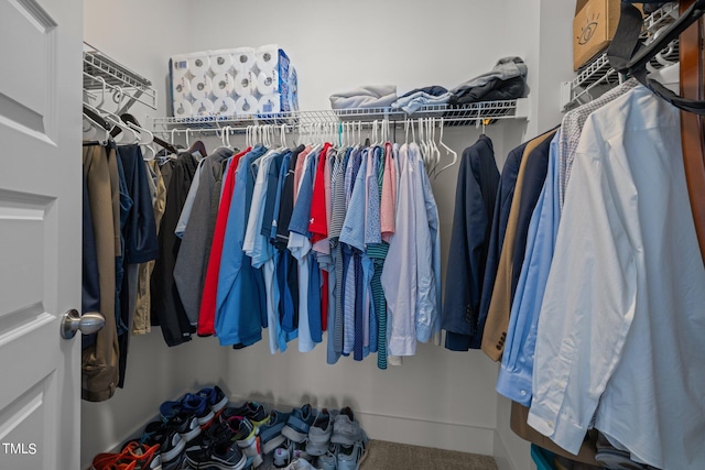 spacious closet with carpet