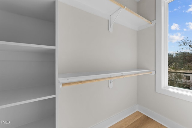 spacious closet featuring wood-type flooring