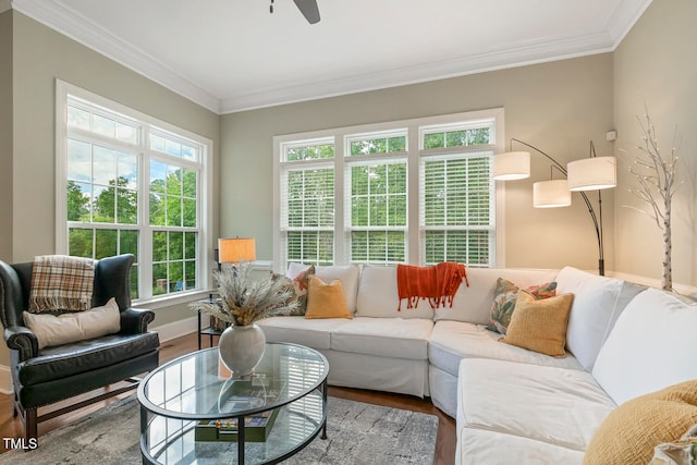 living room with ceiling fan, hardwood / wood-style flooring, and ornamental molding