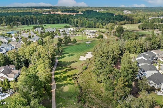 bird's eye view