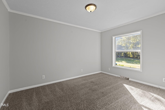 spare room featuring crown molding and carpet flooring