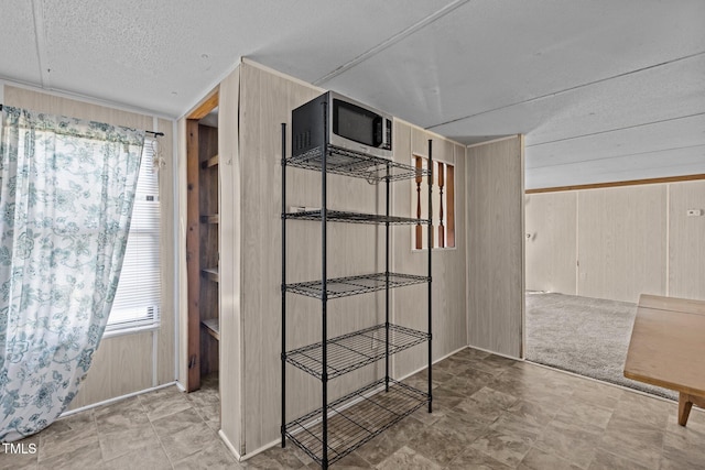 basement featuring light colored carpet, a textured ceiling, wood walls, and a healthy amount of sunlight