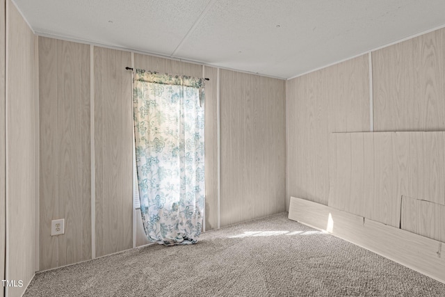 unfurnished room with wood walls and carpet flooring