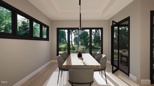 dining space featuring plenty of natural light, a tray ceiling, and light wood-type flooring