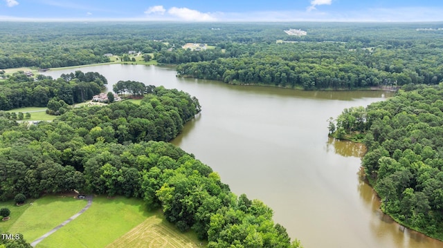 280 Forest Bridge Rd, Youngsville, NC 27596 - drone / aerial view of a large body of water