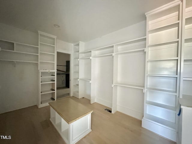 280 Forest Bridge Rd, Youngsville, NC 27596 - walk in closet featuring light wood finished floors