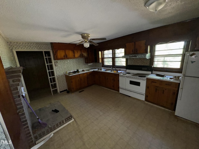 kitchen with white appliances, ventilation hood, a textured ceiling, and ceiling fan