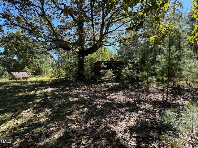 view of local wilderness