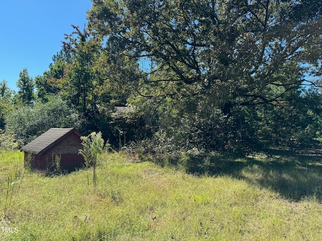 view of yard with a storage shed