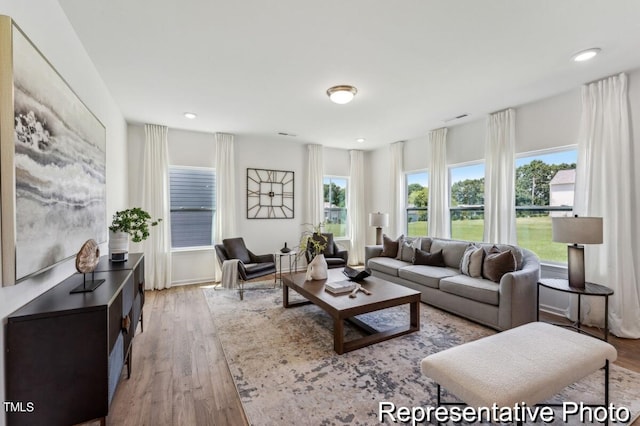 living room featuring light hardwood / wood-style flooring