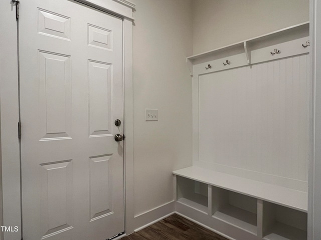 mudroom featuring dark wood-type flooring