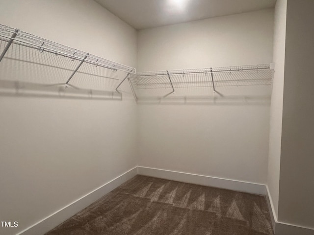 spacious closet featuring dark colored carpet