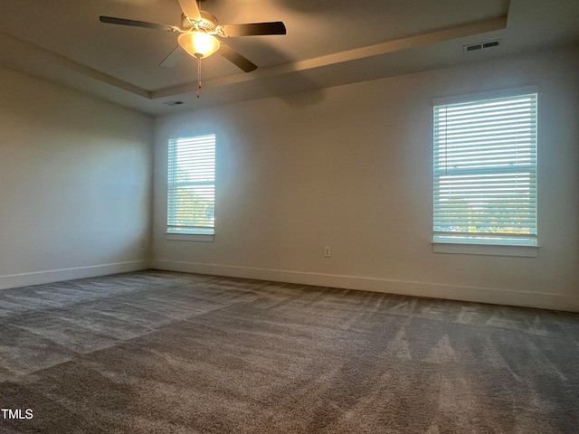 empty room with a raised ceiling, carpet floors, a wealth of natural light, and ceiling fan