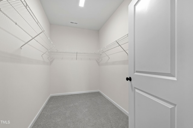 spacious closet featuring carpet