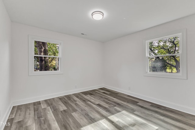 empty room featuring light hardwood / wood-style flooring and a wealth of natural light