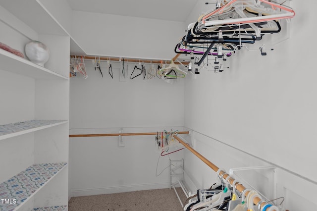 3806 Wyattwood Dr N, Wilson, NC 27896 - view of walk in closet