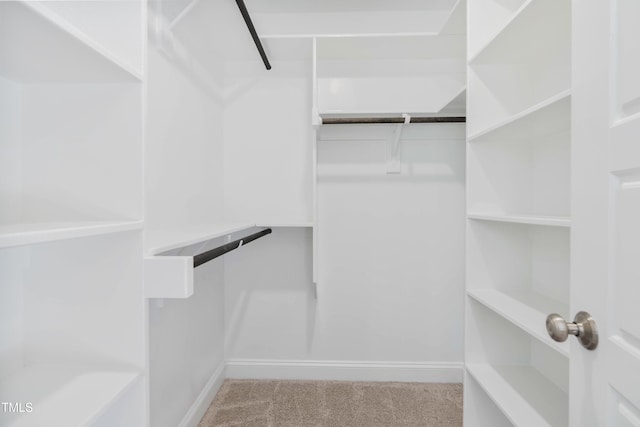 spacious closet with light carpet