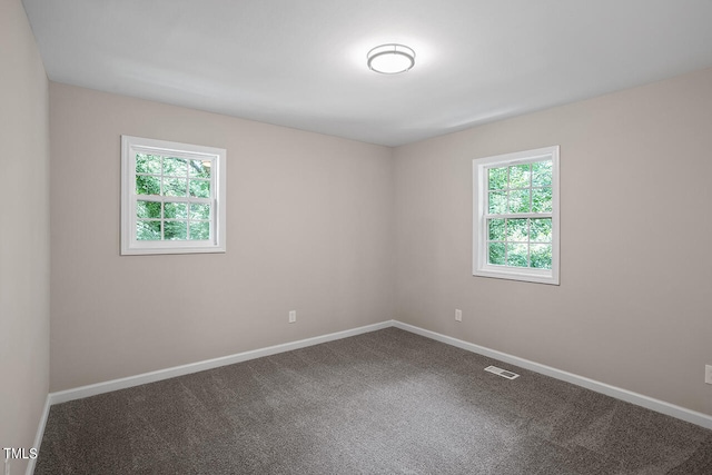 unfurnished room with carpet and a wealth of natural light