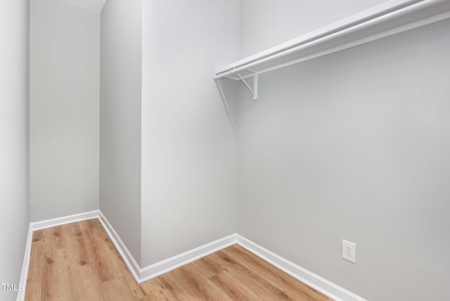 walk in closet featuring wood-type flooring