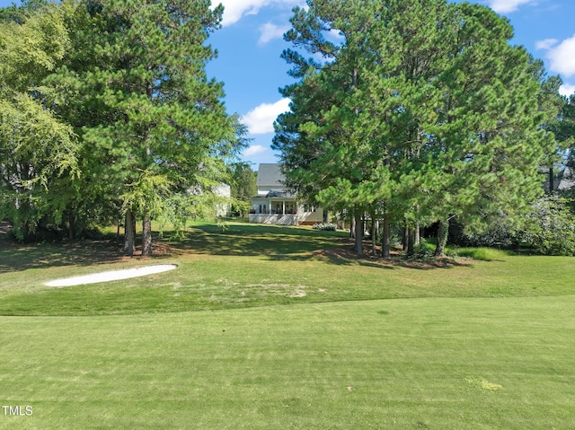 view of community with a lawn