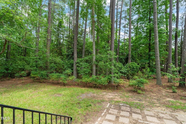3006 Pump Station Ln, Durham, NC 27712 - view of yard