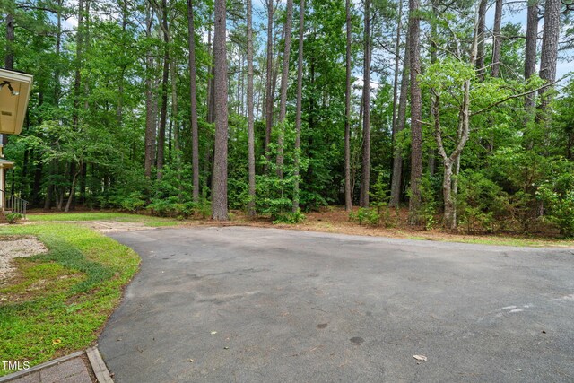 3006 Pump Station Ln, Durham, NC 27712 - view of asphalt road