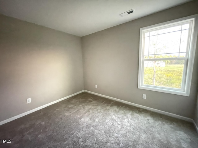 223 Bonsai Way, Four Oaks, NC 27524 - photo 19