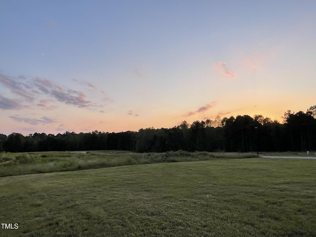 223 Bonsai Way, Four Oaks, NC 27524 - photo 23