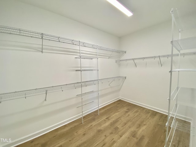 walk in closet with hardwood / wood-style floors