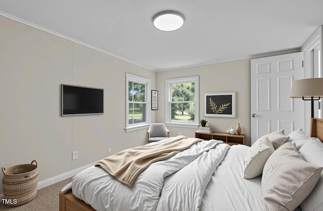 4193 Ji Oakes Rd, Bullock, NC 27507 - carpeted bedroom with baseboards and ornamental molding