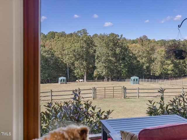 view of yard with a rural view