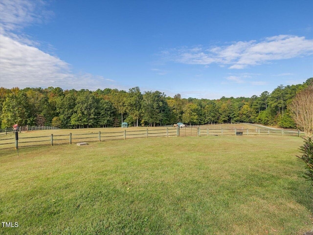 view of yard featuring a rural view