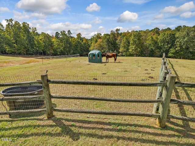 view of yard featuring a rural view