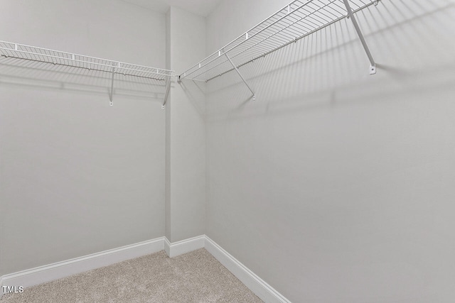 spacious closet with carpet floors