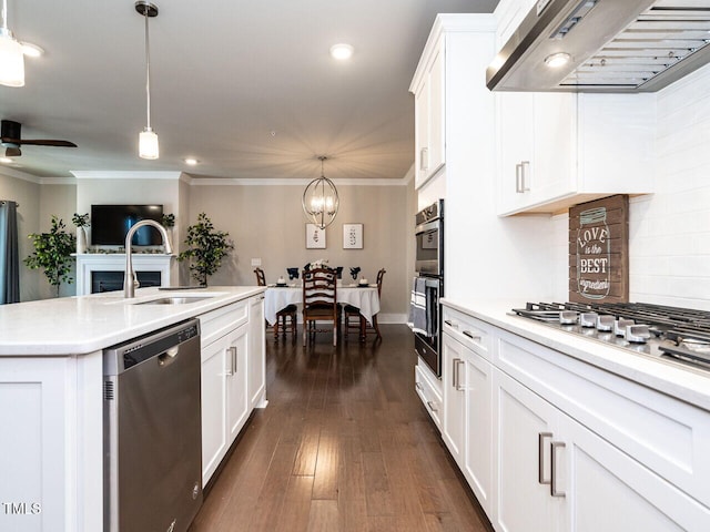 kitchen with sink, decorative light fixtures, exhaust hood, and stainless steel appliances