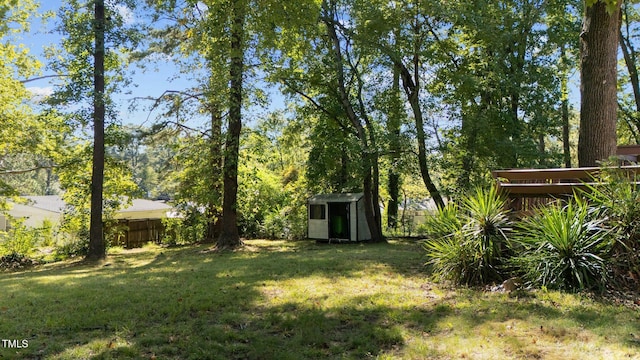 view of yard with a storage shed