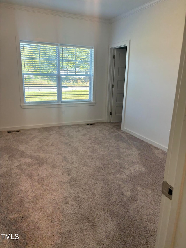 spare room with carpet and ornamental molding