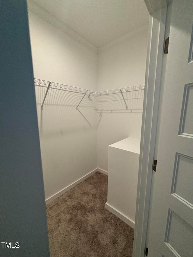 walk in closet with dark colored carpet