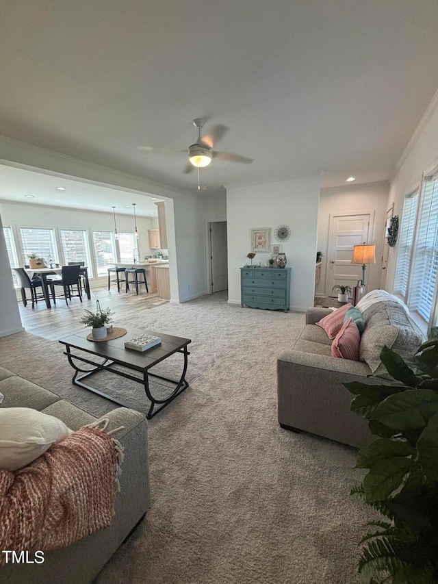 living room featuring ceiling fan, carpet floors, and ornamental molding